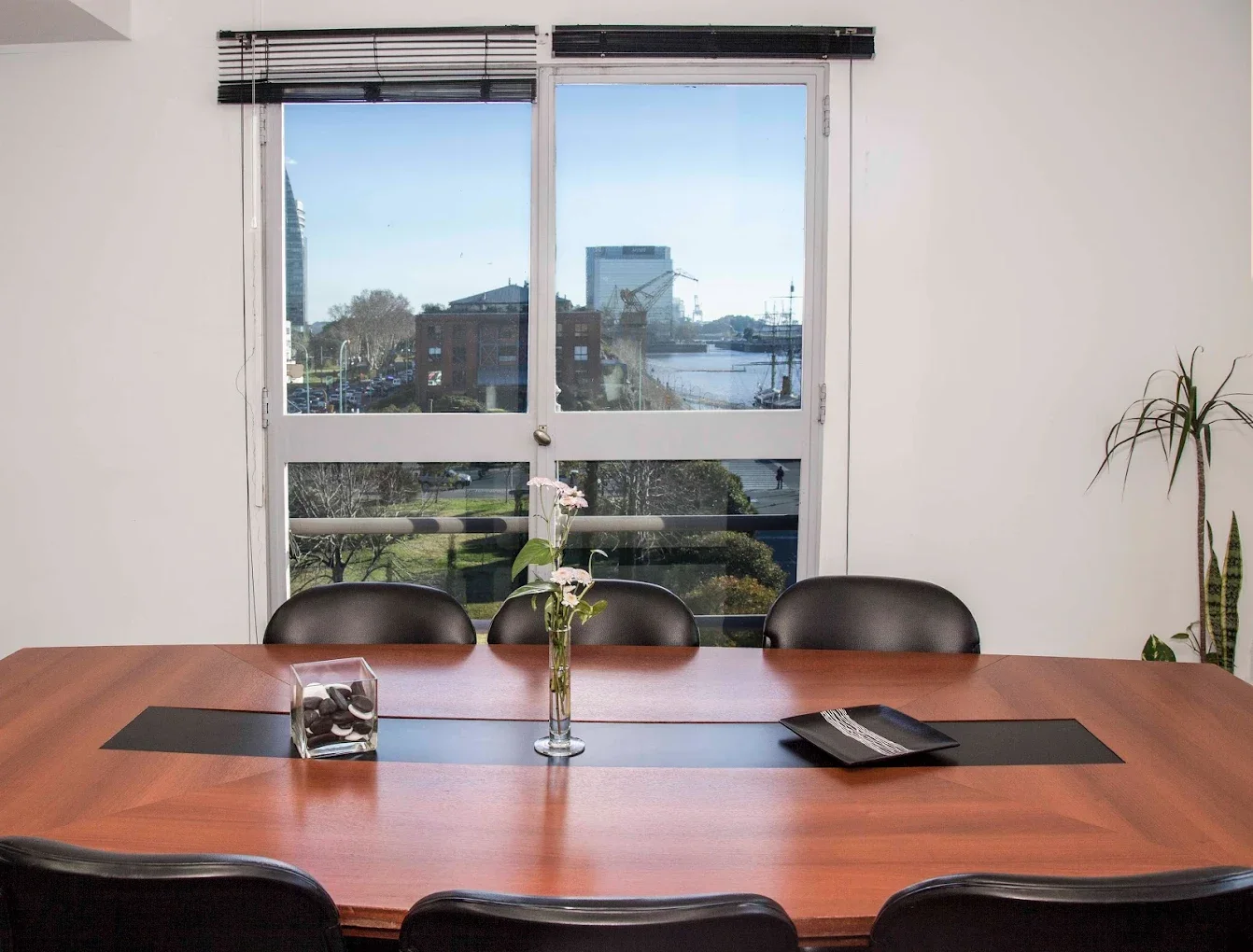 Equipo Genera Tu Energía en oficina Puerto Madero