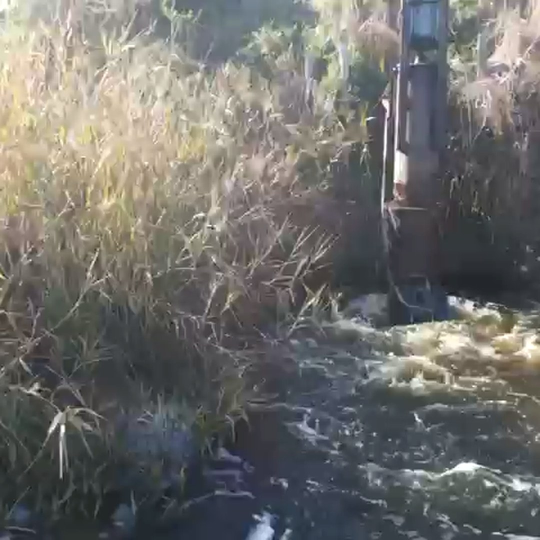 Bombeo solar en campo entrerriano — descarga de agua a canal · Proyecto Nº 3 Genera Tu Energía