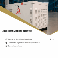 PRAMAC 17 KVA