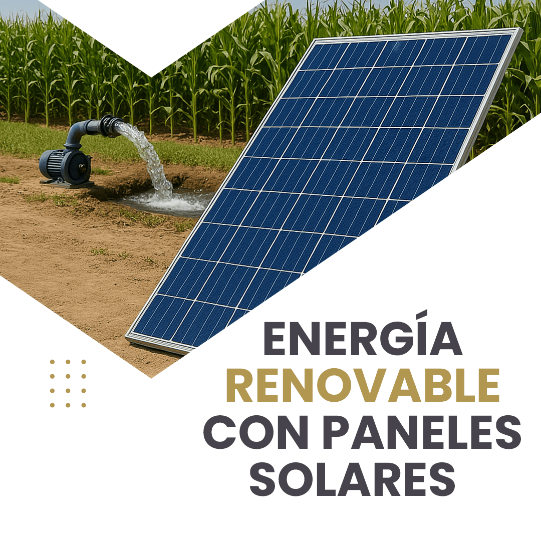 Panel Solar Fotovoltaico LONGi Monocristalino 225Wp (LR5-28HTH-225M) — ficha SKU, stock e instalación en Argentina